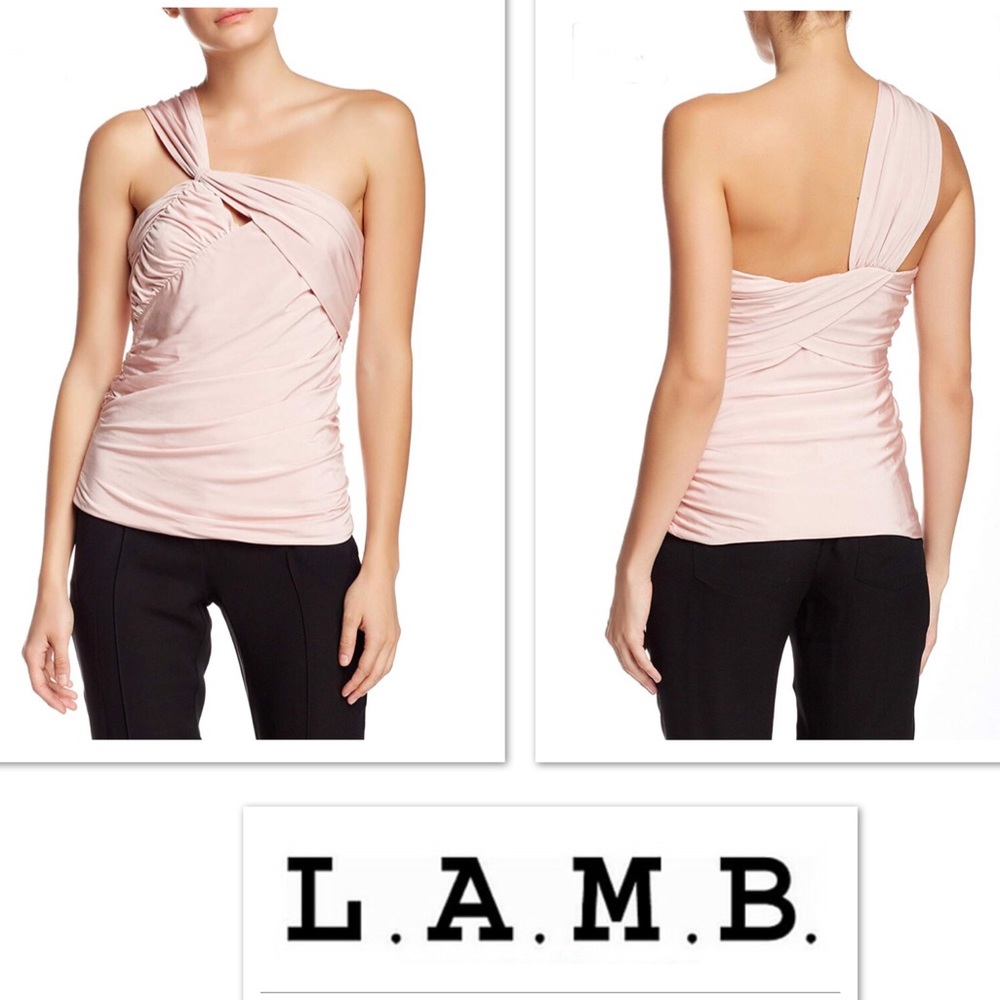 L.A.M.B. NWT Rose Smoke Pink Drape Bustier Top L
